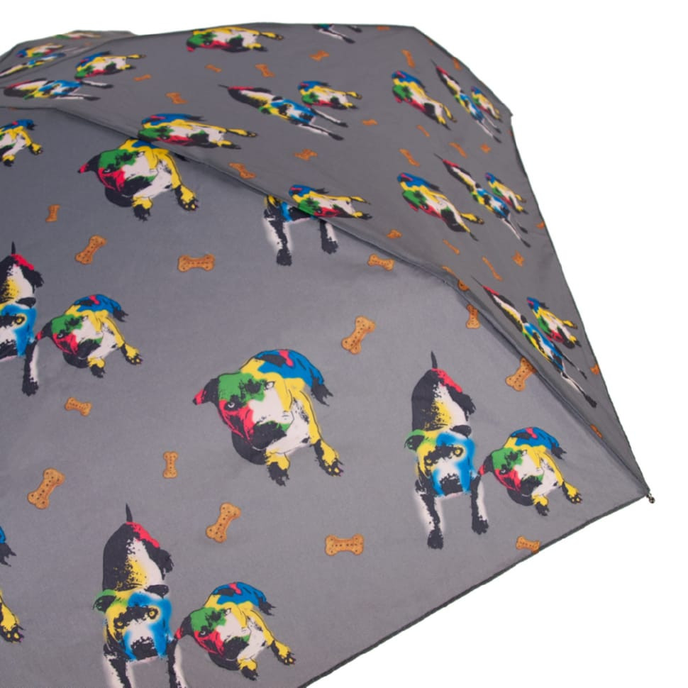 Парасолька жіноча Fulton Soho-2 L859 Prince & Chico (Принц и Чико)