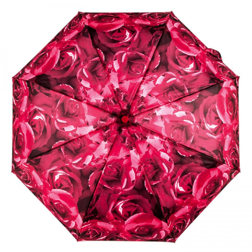Women's umbrella Fulton Open & Close-4 L346 Photo Rose Red (Red roses)