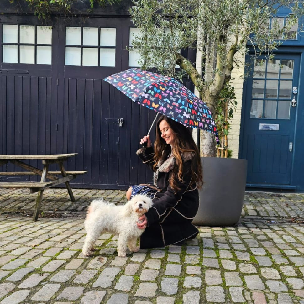 Зонт женский Fulton L354-041659 Minilite-2 Butterfly (Бабочки)