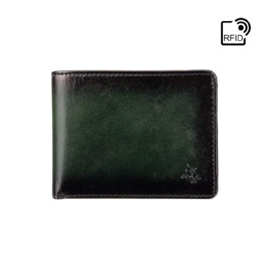 Mens wallet Visconti AT63 Roland with RFID (Burnish Green)