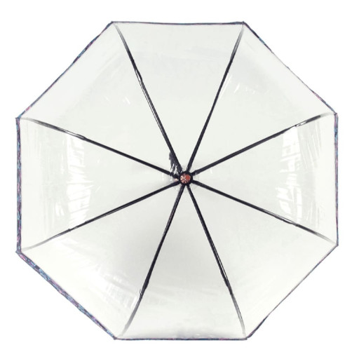 Парасолька-тростина жіноча Fulton Birdcage-2 Luxe L866 Luminous Floral (Светящиеся цветы)