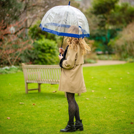 Парасолька-тростина жіноча Fulton Birdcage-1 L041 Navy (Синій)