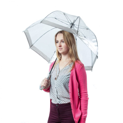 Парасолька жіноча Fulton L041-015599 Birdcage-1 Silver