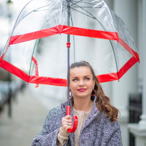 Парасолька-тростина жіноча Fulton Birdcage-1 L041 Red (Червоний)