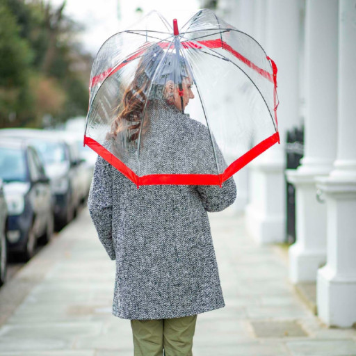 Парасолька-тростина жіноча Fulton Birdcage-1 L041 Red (Червоний)