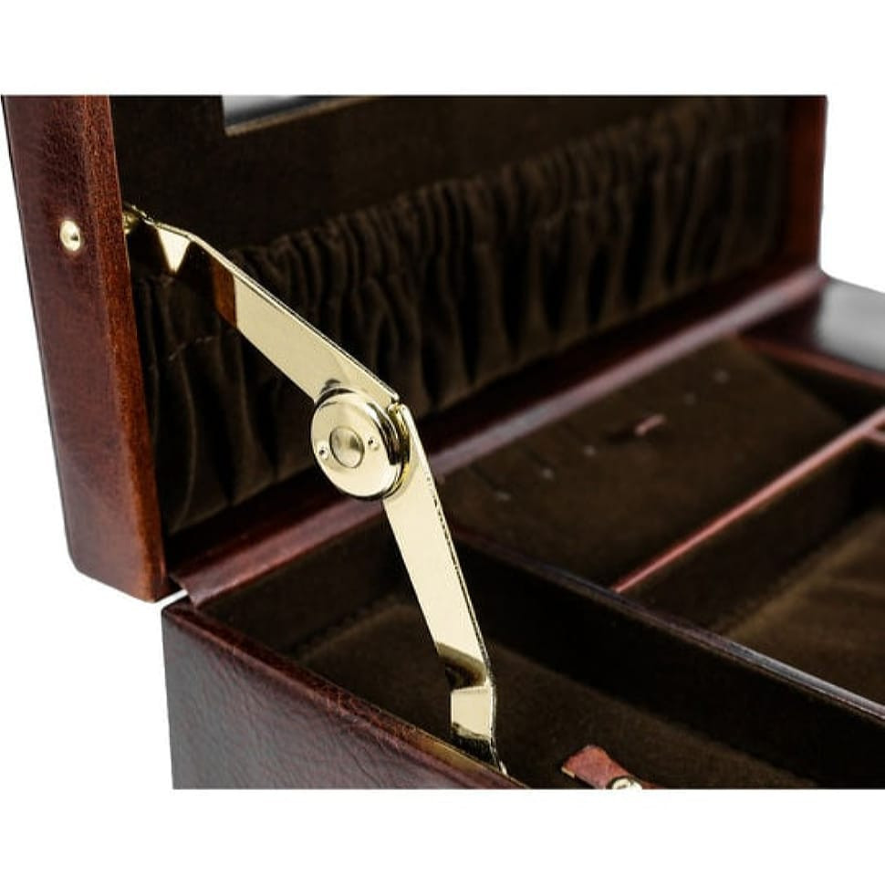 Большая кожаная шкатулка для украшений для женщин - The Portrait of a Lady - Коричневый цвет - Time Resistance 5235501