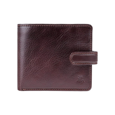 Men's wallet Visconti TSC41 Massa with RFID (Brown)