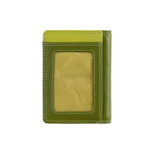 Картхолдер Visconti RB111 Madagascar (Lime Multi)