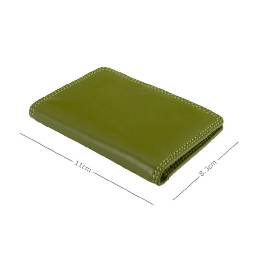 Картхолдер Visconti RB111 Madagascar (Lime Multi)