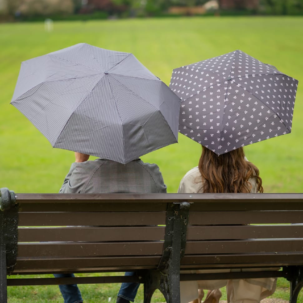 Парасолька жіноча Fulton L501-038697 Tiny-2 Sidney Squirrel (Білка)