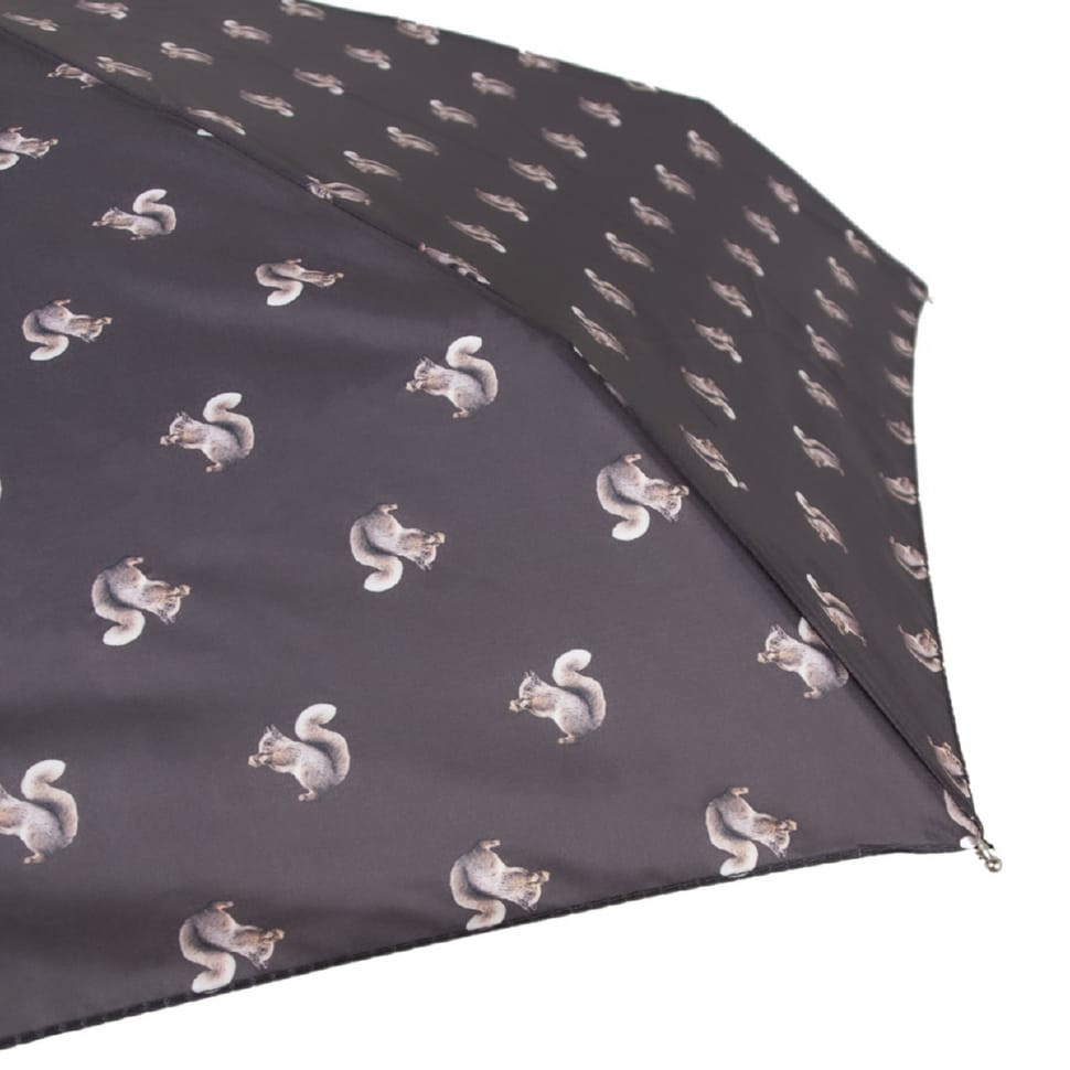 Парасолька жіноча Fulton L501-038697 Tiny-2 Sidney Squirrel (Білка)