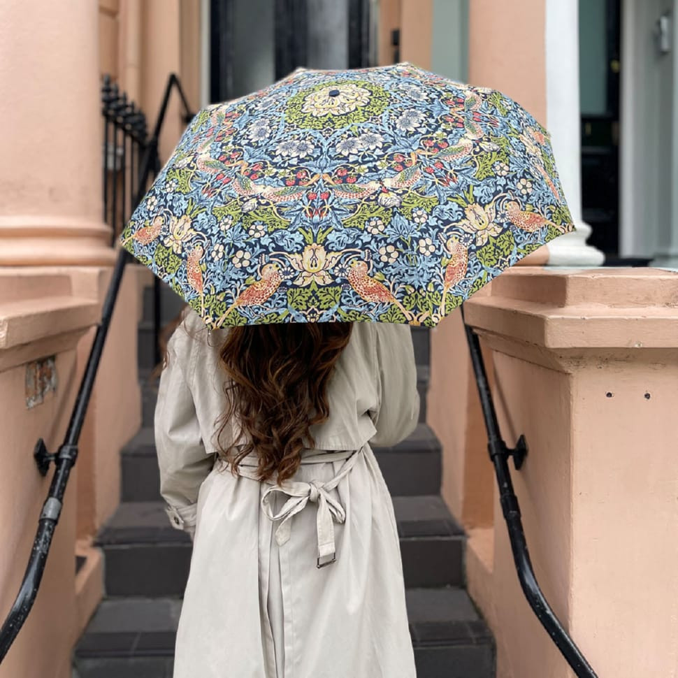 Парасолька жіноча Fulton L907-040669 Minilite-2 UV Strawberry Thief (Полуничний злодій)