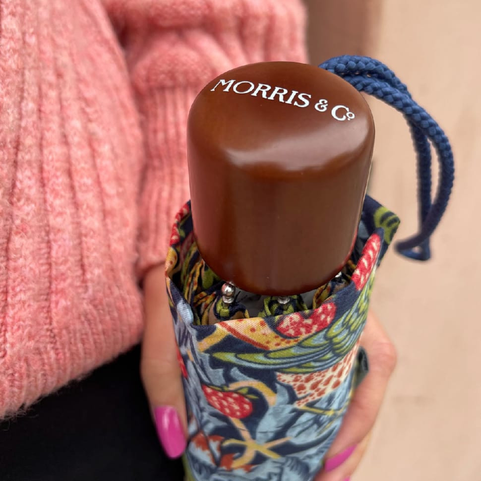 Парасолька жіноча Fulton L907-040669 Minilite-2 UV Strawberry Thief (Полуничний злодій)