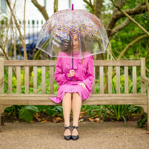 Парасолька-тростина жіноча Fulton L042 Birdcage-2 Hippie Scatter (Разноцветные незабудки)