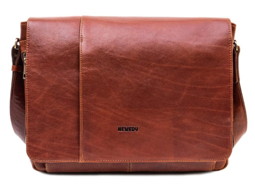 Руда сумка месенджер на 15.6 Newery N8128GCR