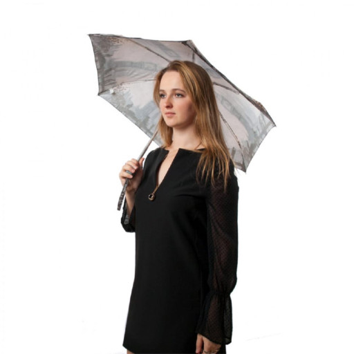 Парасолька жіноча Fulton National Gallery Tiny-2 L794 Thames Below Westminster (Темза ниже Вестминстера)