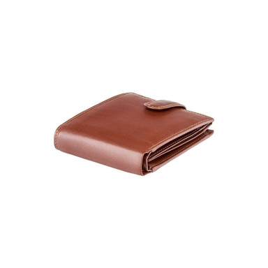 Гаманець чоловічий Visconti MZ5 Rome c RFID (Italian Brown)