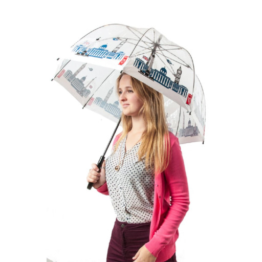 Парасолька-тростина жіноча Fulton National Gallery Birdcage-2 L848 National Gallery Skyline (Национальная Галерея)