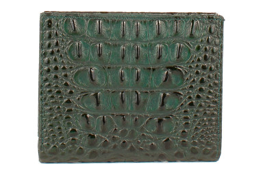 Кошелек Firenze зеленый 105-908