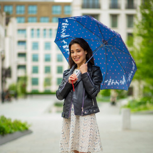 Парасолька жіноча Fulton L354-041185 Minilite-2 Milis Friends (Друзі Мілі)