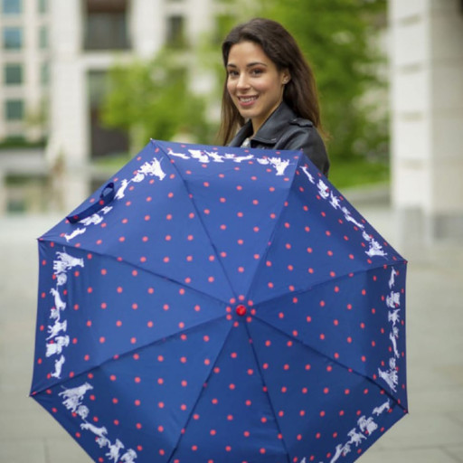 Парасолька жіноча Fulton L354-041185 Minilite-2 Milis Friends (Друзі Мілі)