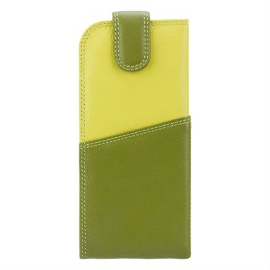 Case for glasses Visconti RB106 (Lime Multi)