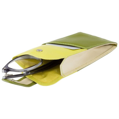 Case for glasses Visconti RB106 (Lime Multi)