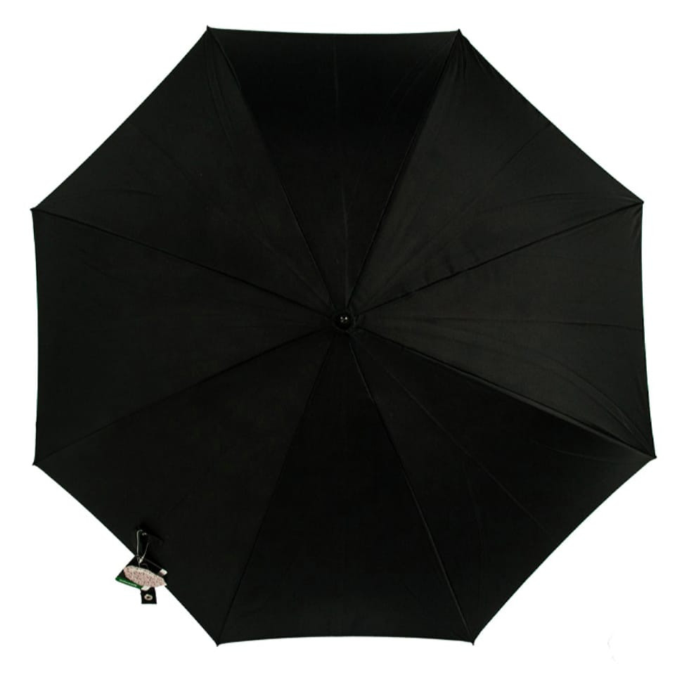 Парасолька-тростина жіноча Fulton Bloomsbury-2 L754-031346 Painted Roses (Намальовані троянди)