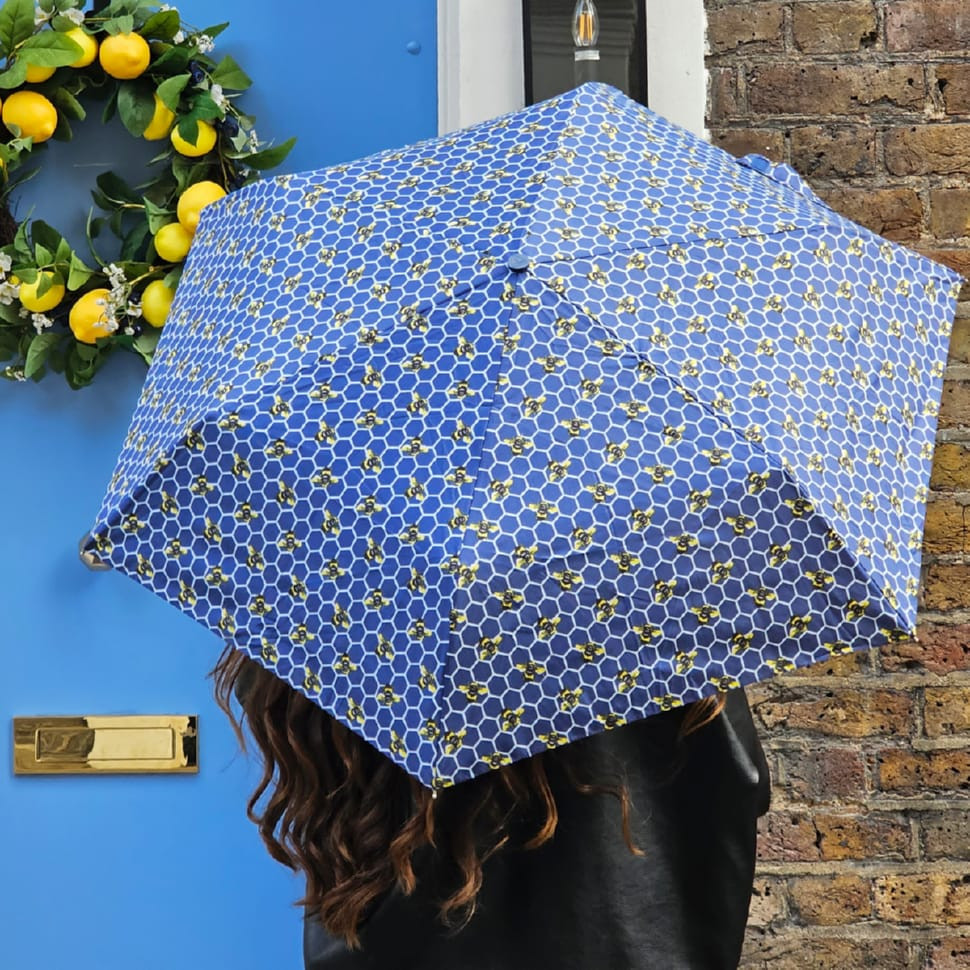 Women's umbrella Fulton L905 Eco Planet Beehive (Beehive)