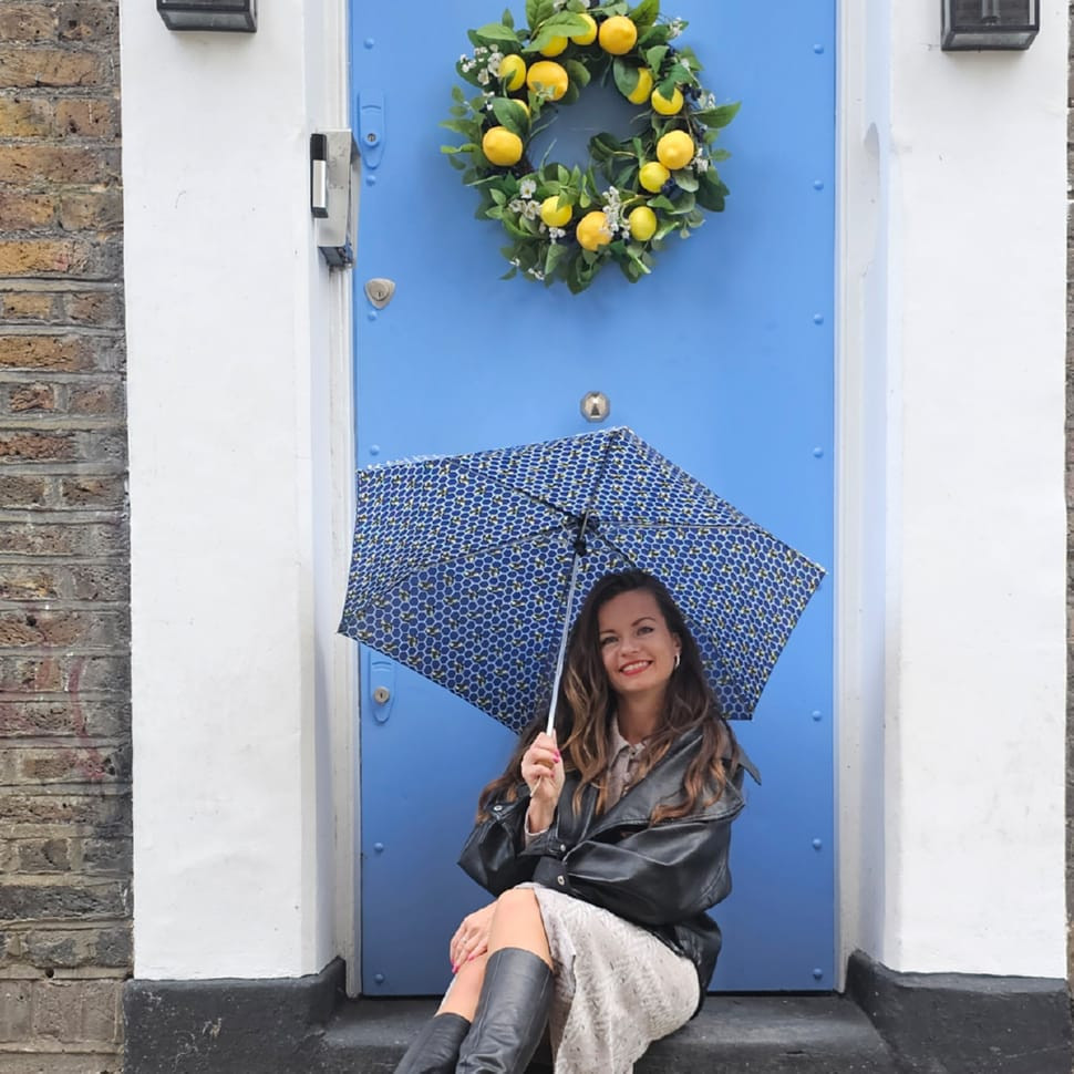 Women's umbrella Fulton L905 Eco Planet Beehive (Beehive)