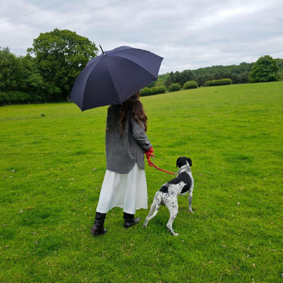 Парасолька-тростина Fulton Hampstead-1 L893 - Black (Чорний)