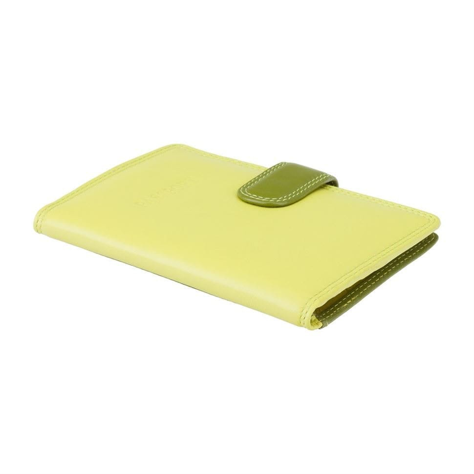 Обкладинка для паспорта Visconti RB75 Sumba (Lime Multi)