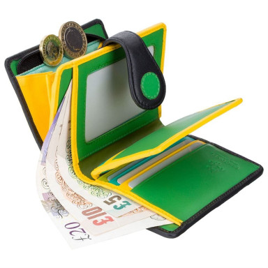 Кошелек женский Visconti P3 Pluto c RFID (Lily Pad)