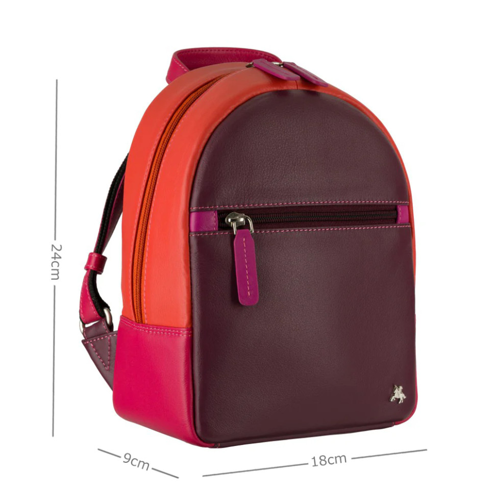 Жіночий шкіряний рюкзак Visconti S46 Molly (Plum)