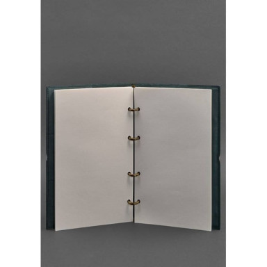 Leather notebook A4 on rings (soft-book) 9.0 soft cover green Crust