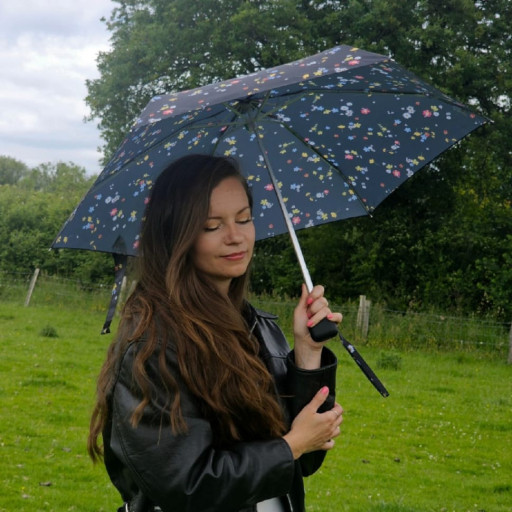 Парасолька жіноча Fulton L501-041604 Tiny-2 Buttercup Sprig (Гілочка жовтця)