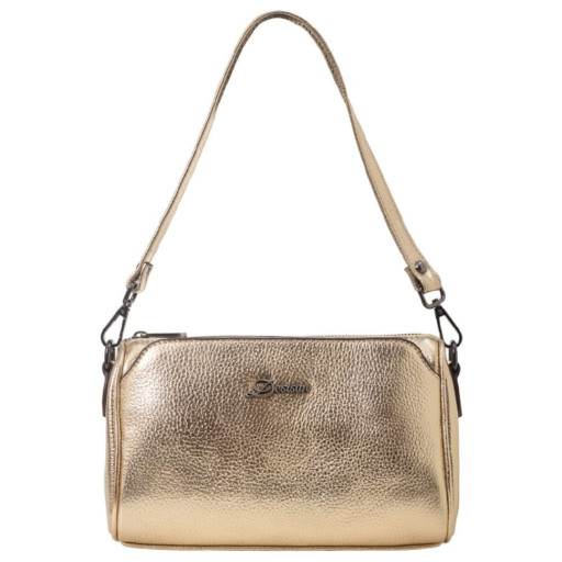 Сумка жіноча шкіряна Desisan 3140-674 золото