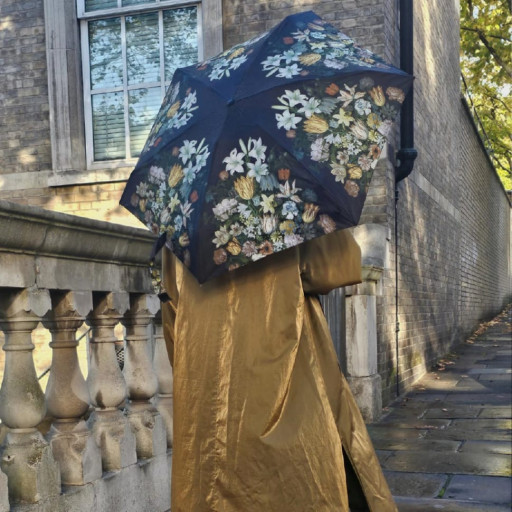 Парасолька жіноча Fulton L794-085297 National Gallery Tiny-2 Bosschaert