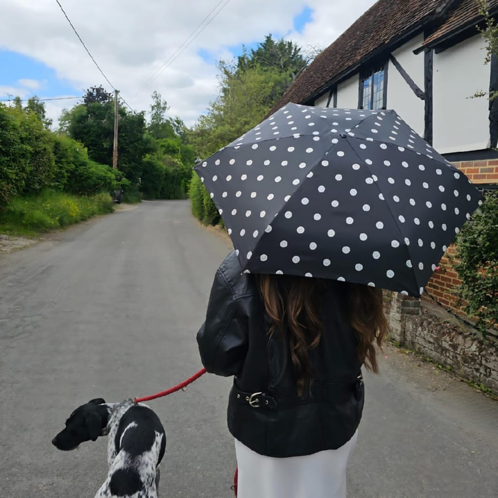 Парасолька жіноча Fulton L501-041628 Tiny-2 Smiley Spot (Смайли)